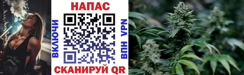 где купить наркоту  Оха  МАРИХУАНА план 